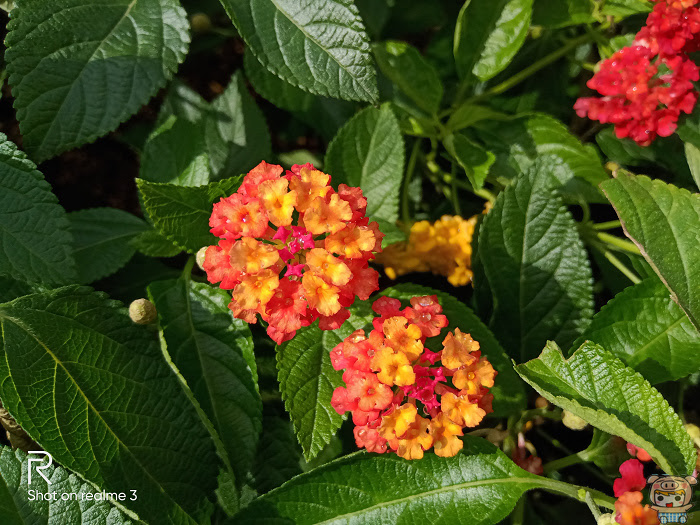 nEO_IMG_IMG20190527154629.jpg