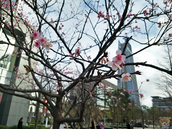 nEO_IMG_IMG20170221155845.jpg