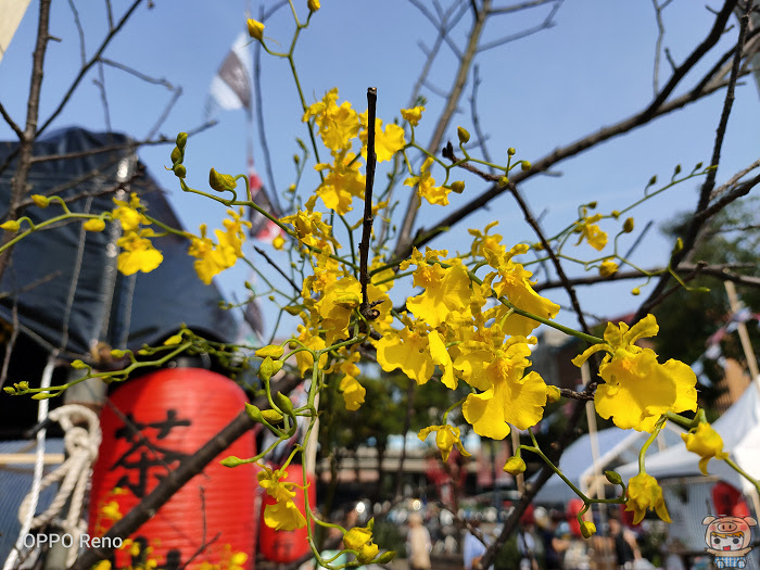 nEO_IMG_IMG20190426152751.jpg